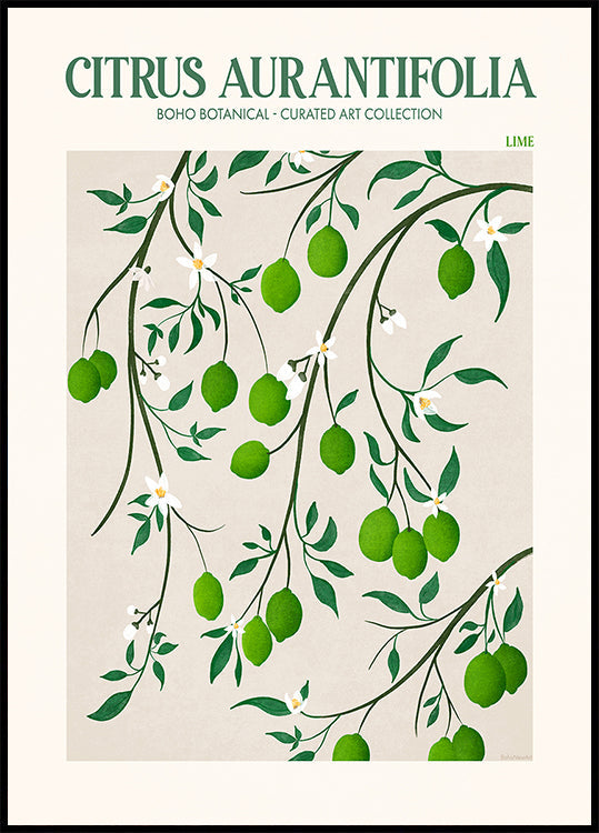 Botanical Lime Bliss Plakat - Posterbox