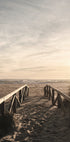 Wooden Pathway to the Ocean Plakat - Posterbox.dk
