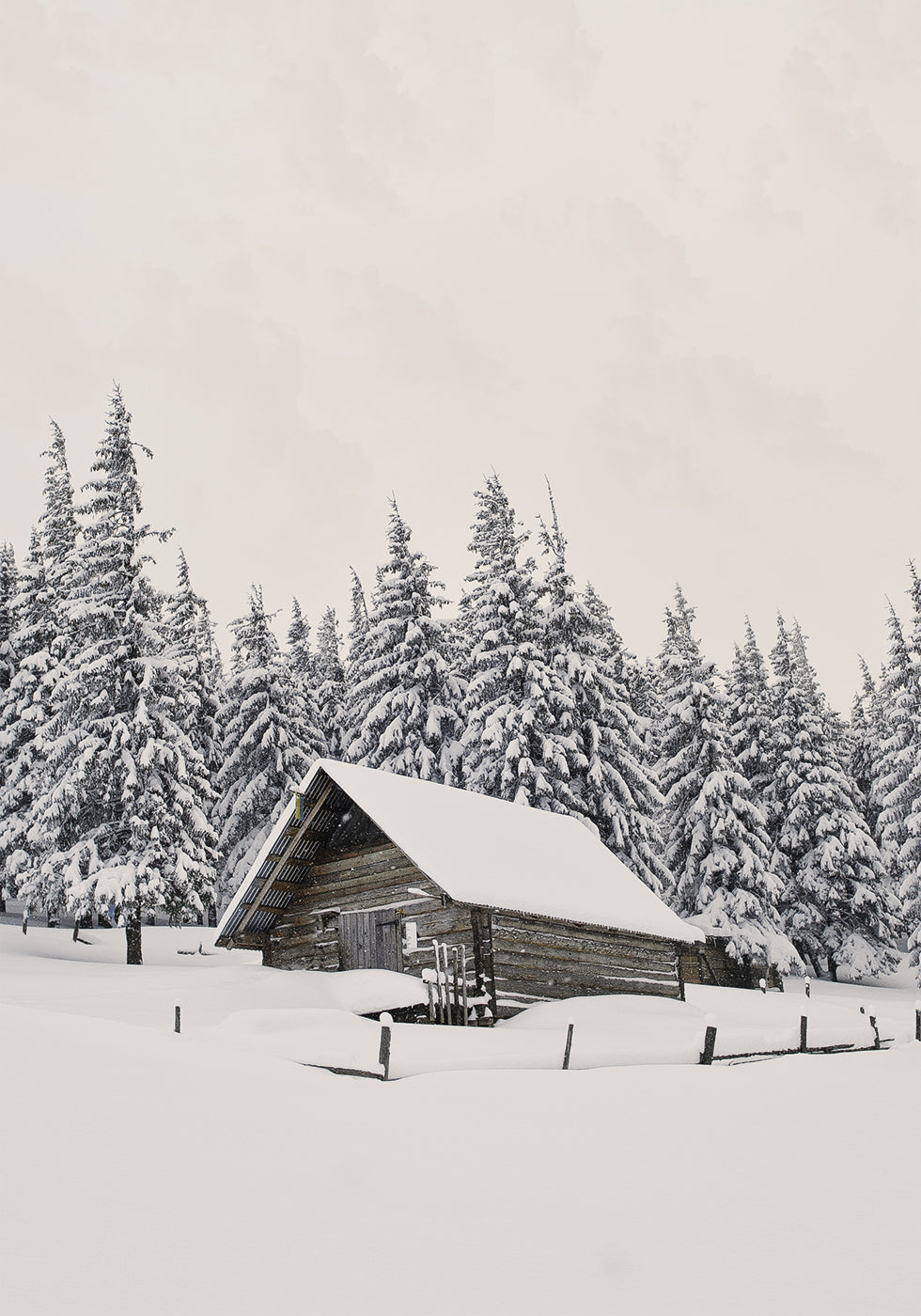 Cabin In Snow Plakat - Posterbox.dk