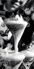 Champagne Fountain Plakat - Posterbox.dk