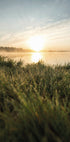 Dewy Dawn by the Lake Plakat - Posterbox.dk