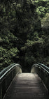 Forest Crossing Plakat - Posterbox.dk
