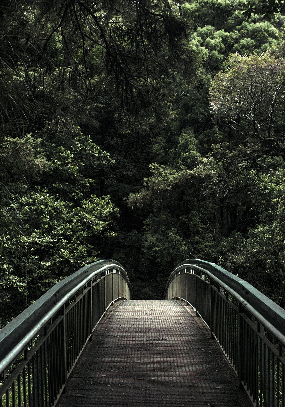 Forest Crossing Plakat - Posterbox.dk