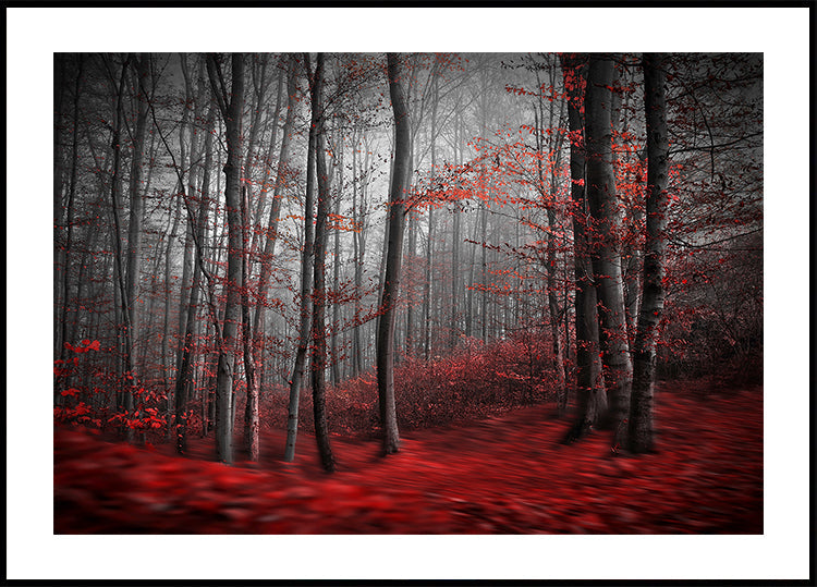 Bloody River plakát