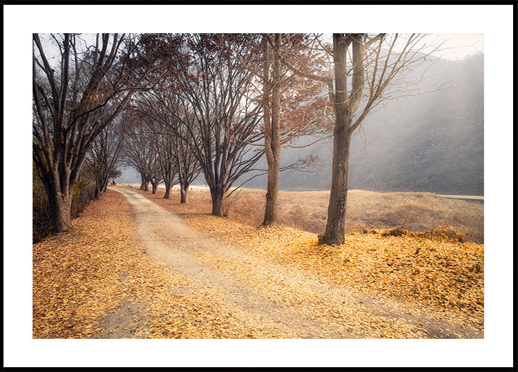 Rudens viduryje Plakatas