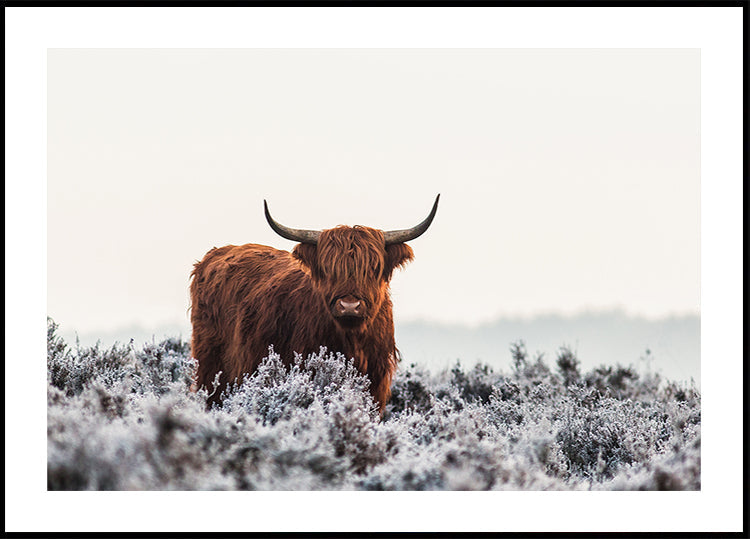 Highlanderi plakat
