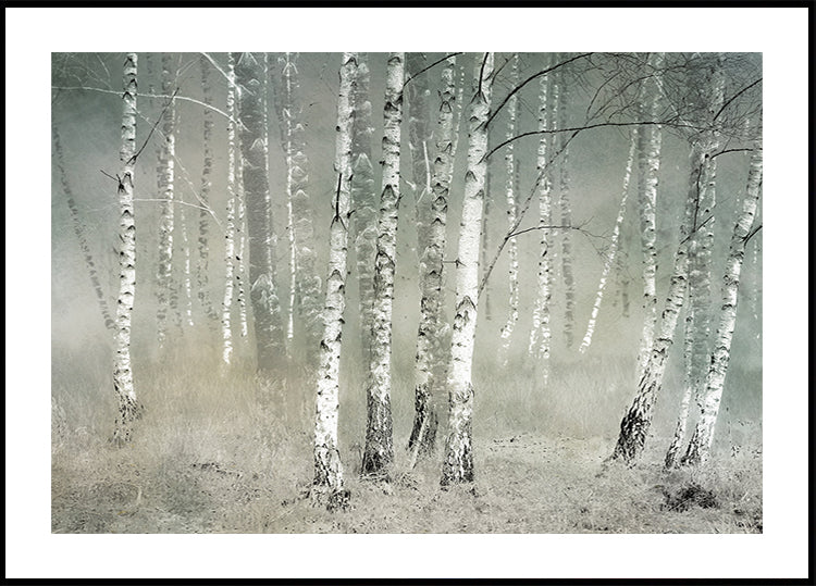 Tăcere de dimineață Poster