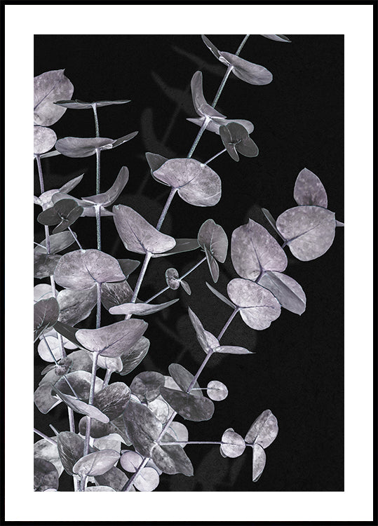 Eukalyptus-Negativ-Nr.3-Poster