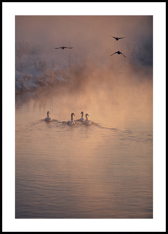 Wou den Niwwel net erreecht huet Poster