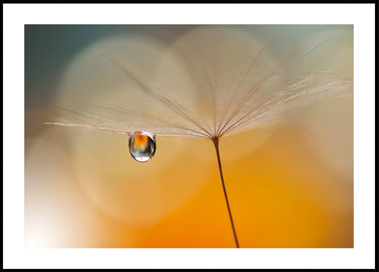Kis éjszakai zene...
