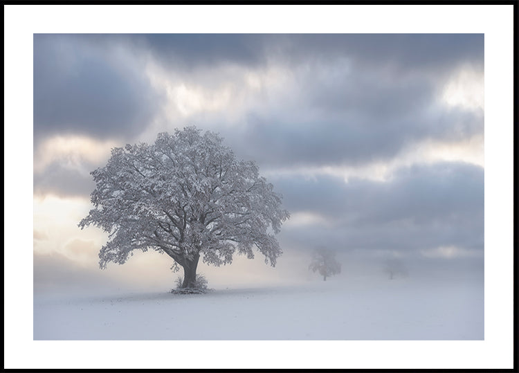 Hideg reggel plakát