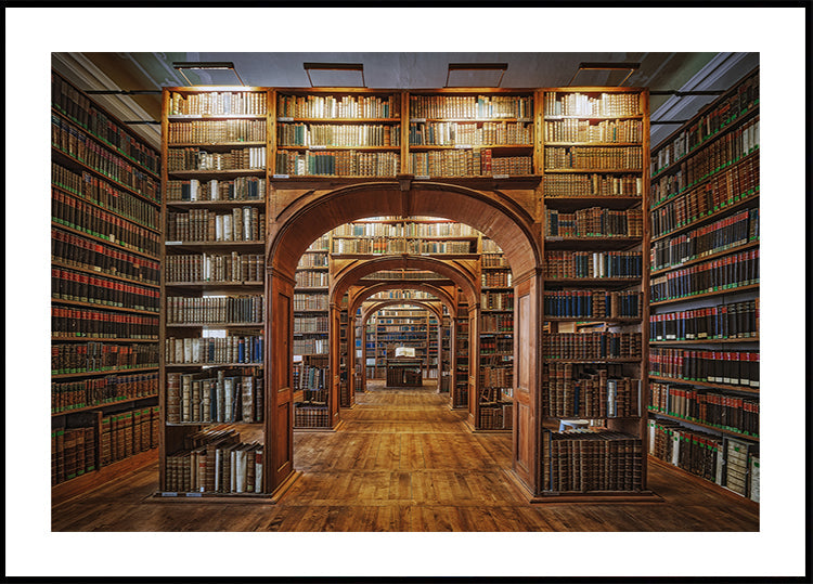 Upper Lausitzian Library of Sciences Poster