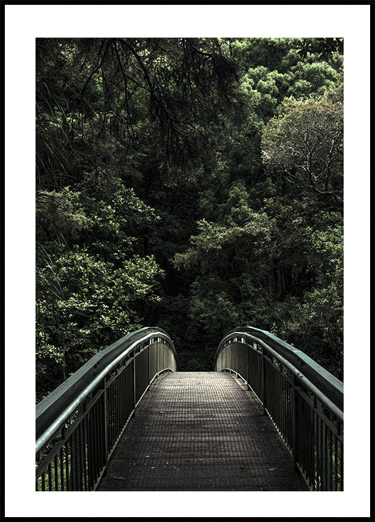Forest Crossing Plakat - Posterbox.dk