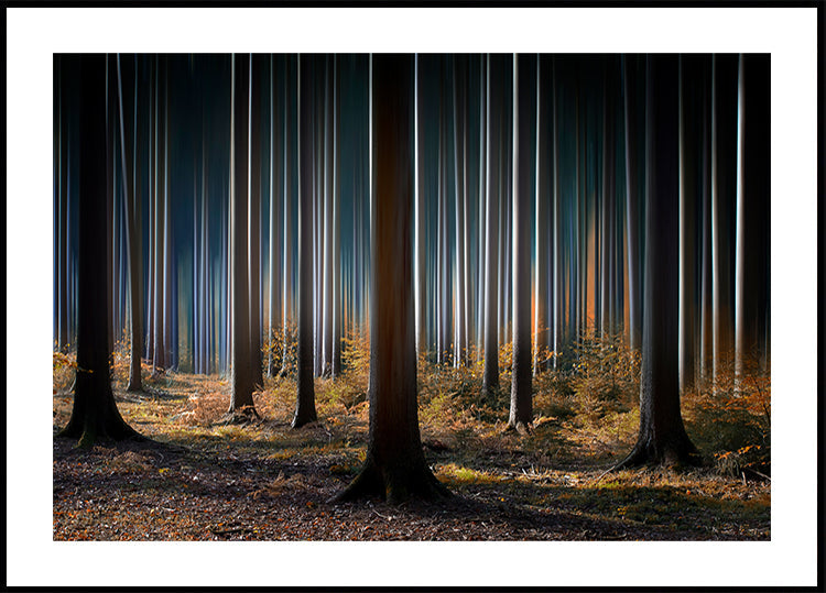 Mystic Wood