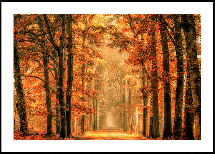 Lépjen ki a Portál plakátjából