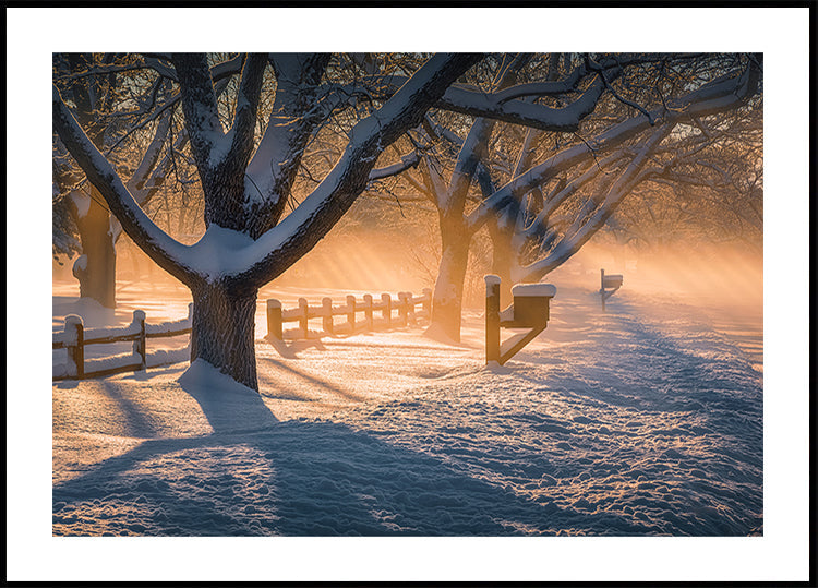 Plakāts pēc sniega vētras