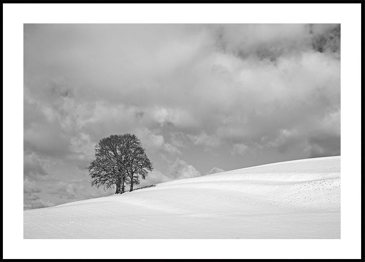Mākoņaina ziemas diena Plakāts