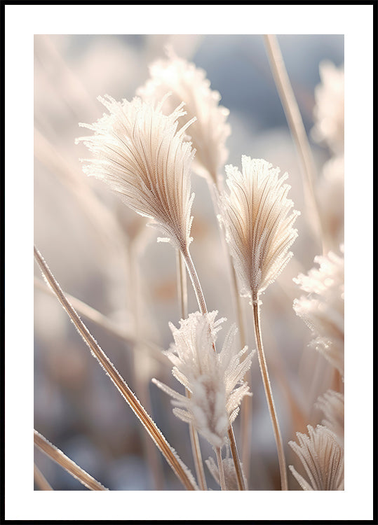 Fagyos elegancia poszter