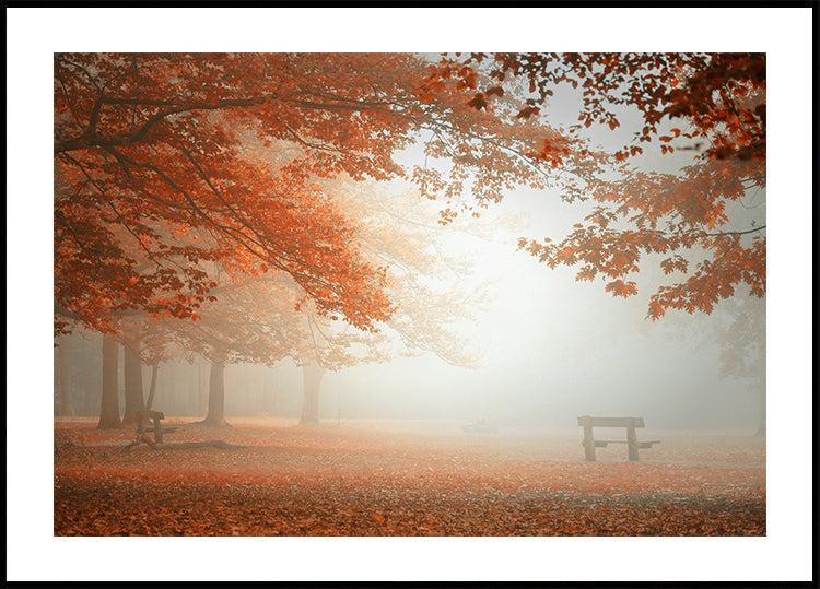 A természet csodái Plakát