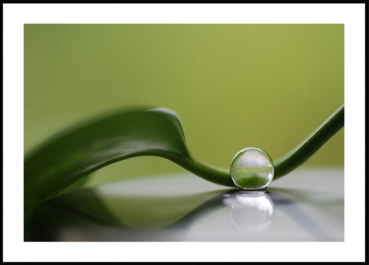 Armonie verde