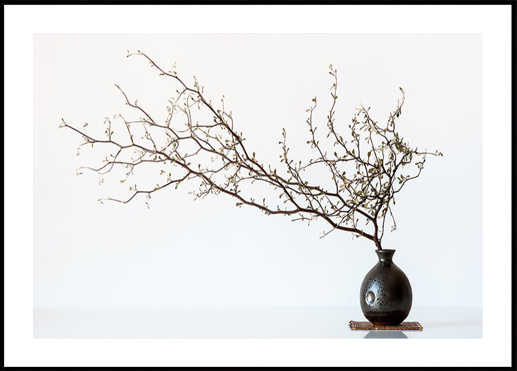 Vase a Branch
