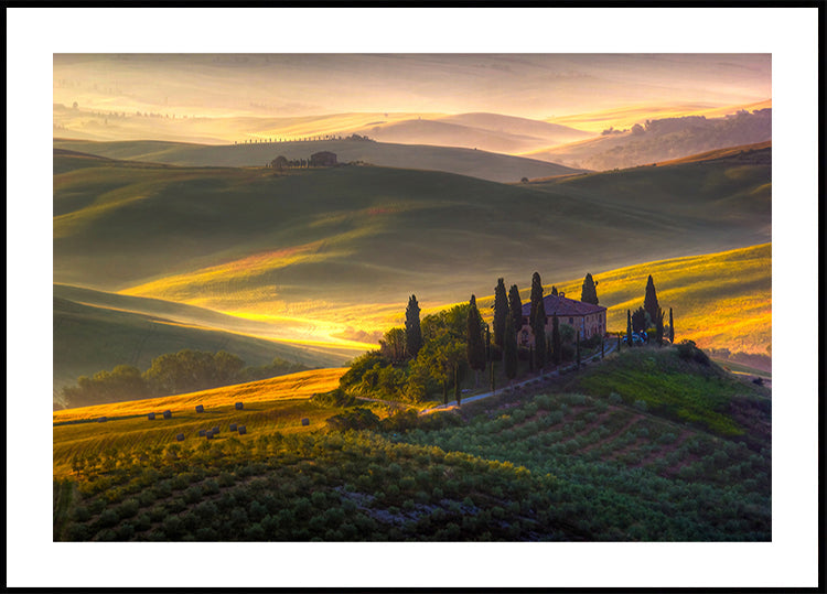 Iš žalios ir auksinės spalvos