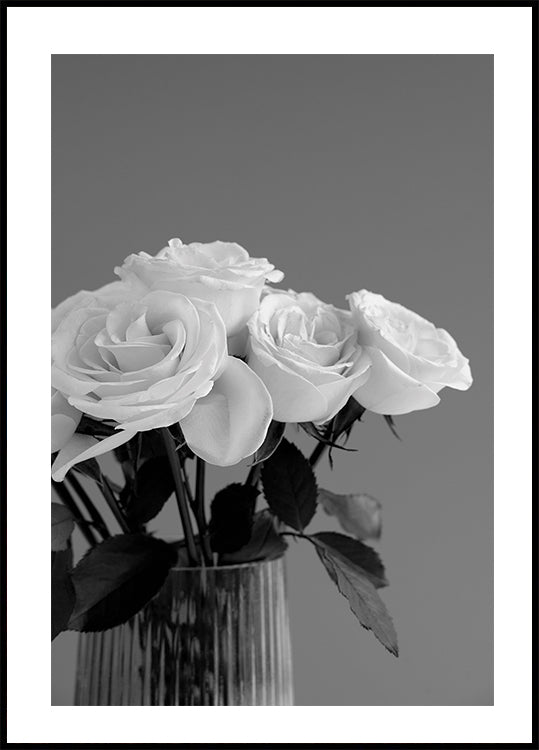 Rose Plakat - Posterbox.dk