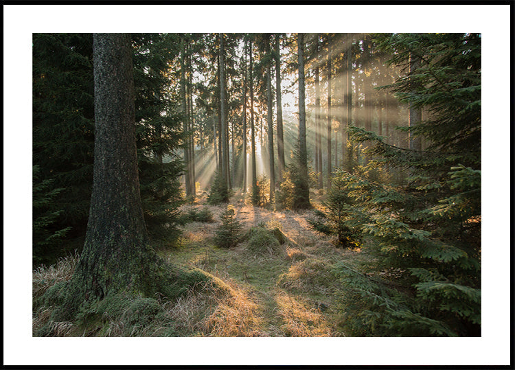 Sugarak, 2. rész poszter