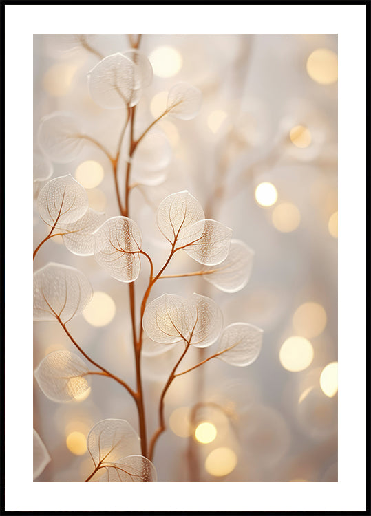 Etheral Glow poszter