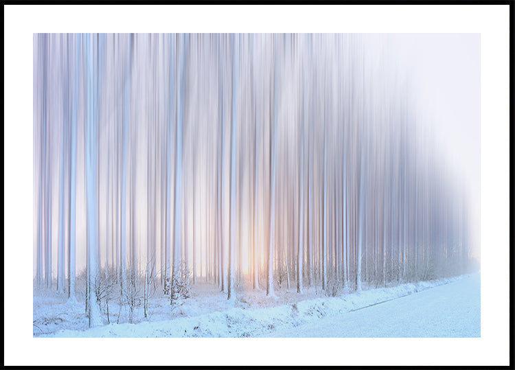 koku aizkars Plakāts