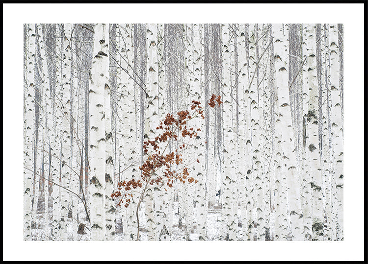 Vun White Poster