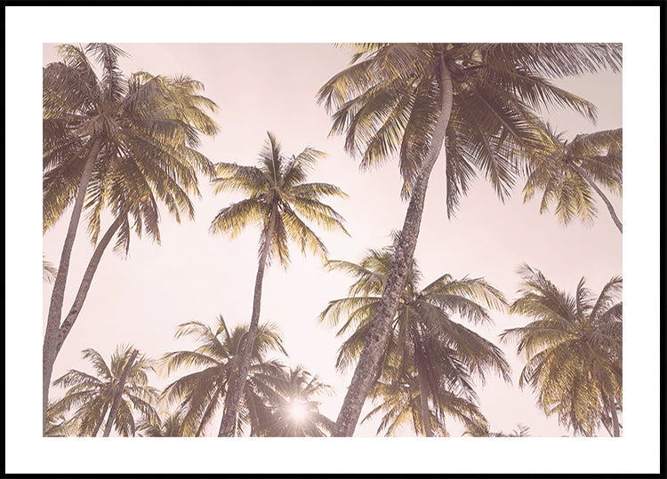 Raudonos palmės