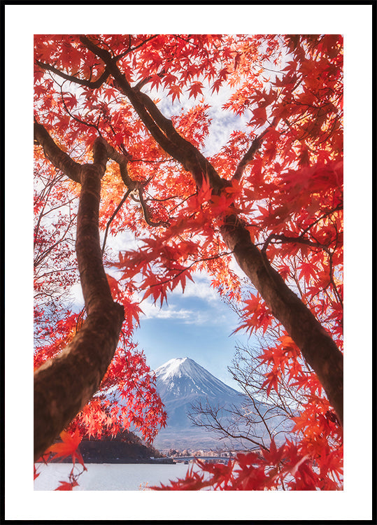 Mt.fuji on sügislehtedes Plakat