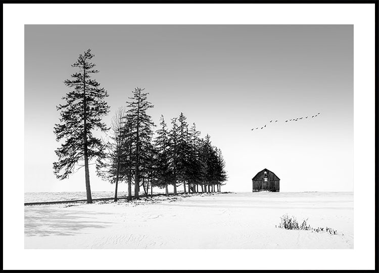 A Sunny Winter Day Plakat