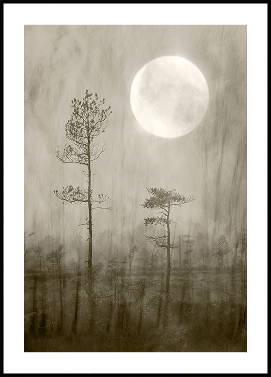Moonlight Moor plakát