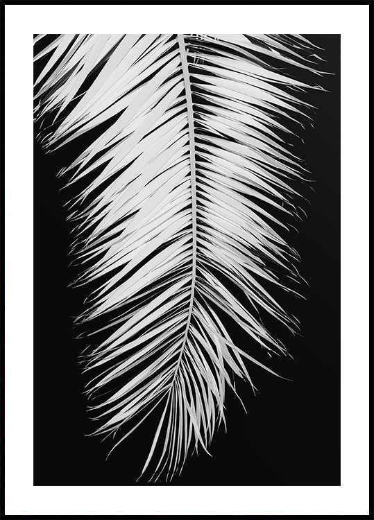 Palmenblatt No.4 Affiche