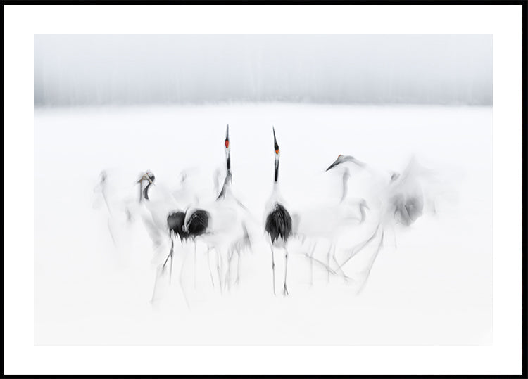 Calligraphic ballet Plakat