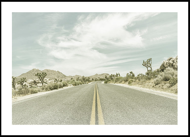 Vintage Joshua Trees, Park Boulevard Poster