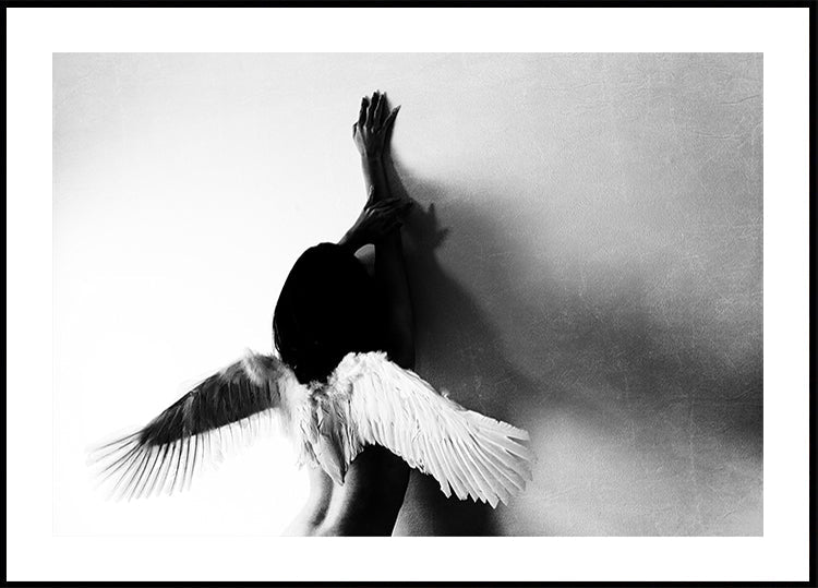 not fly
