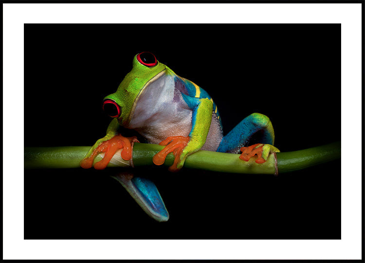 Poster de curiozitate