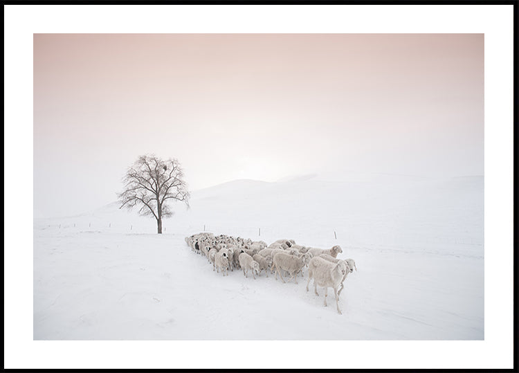 Pulkas ieško maisto Plakatas