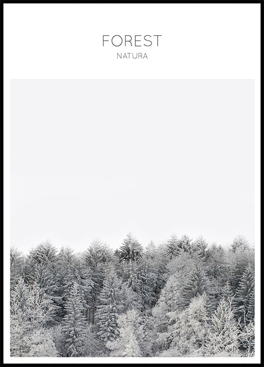 Frosted Tranquility (JAUNS)