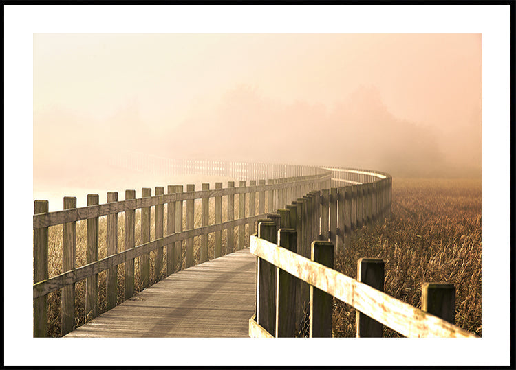 Kelias tampa šviesesnis.