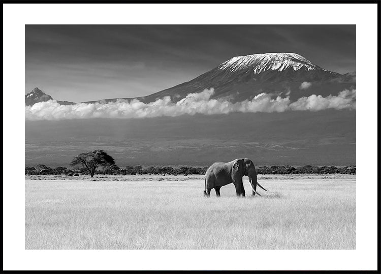 Lost Faarwen II Affiche