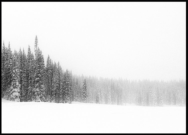 Plakāts Mežs kokiem