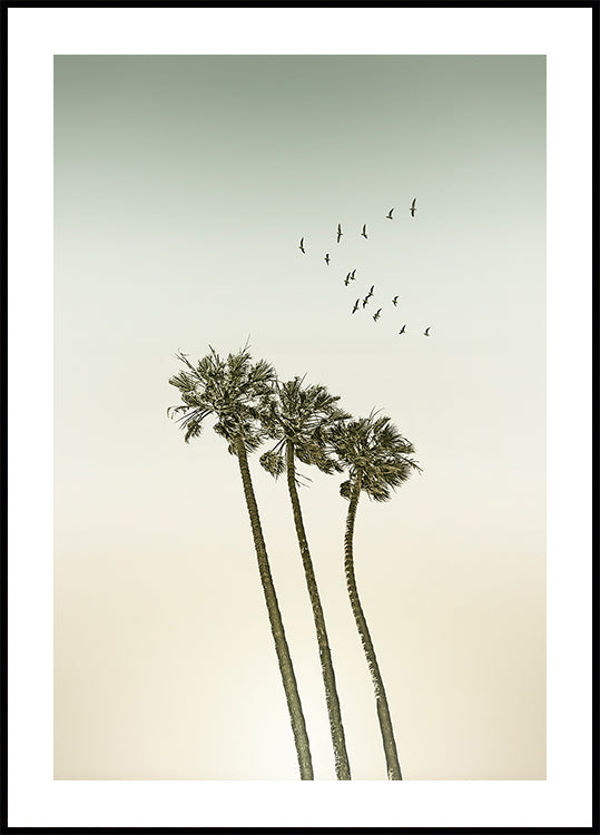 Vintage minimalistlikud palmipuud ja päikeseloojangu plakat