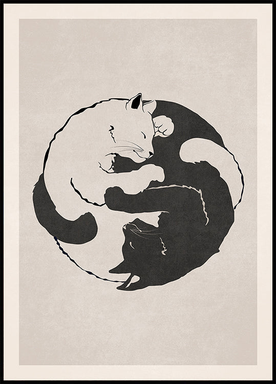 Feline Harmony Poster