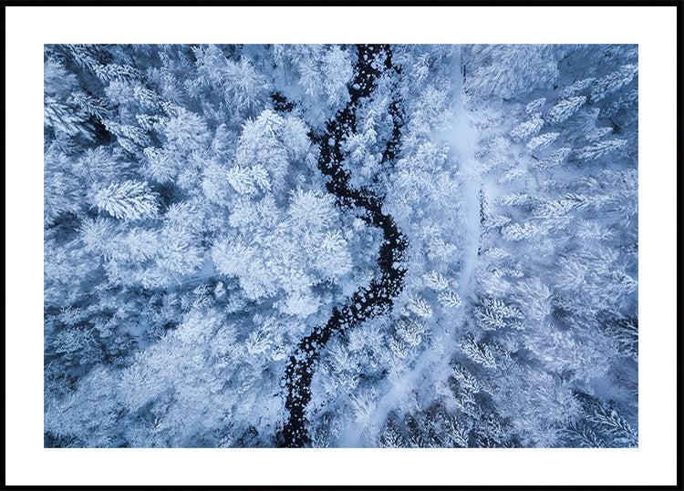 Auksts skaistuma plakāts