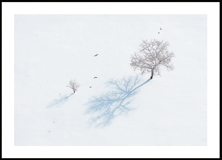 Poster Umbre de copaci și păsări