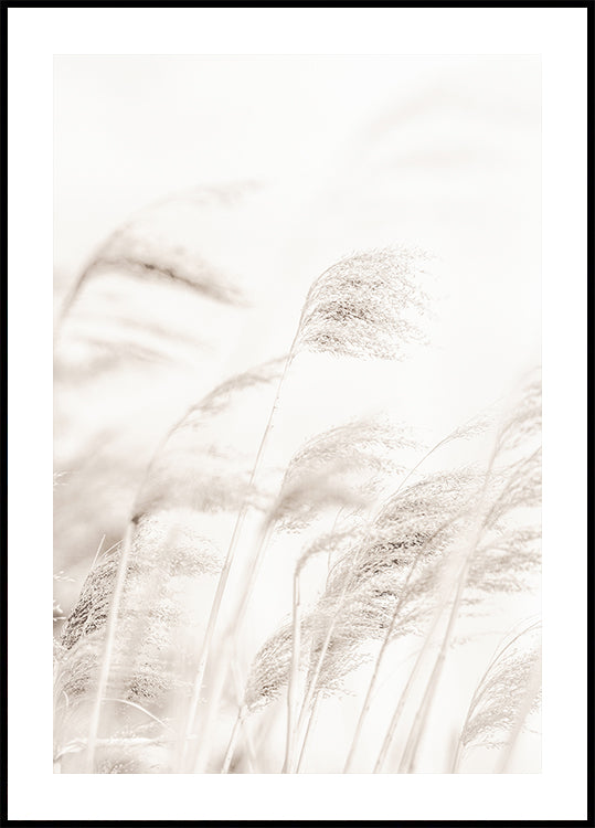 REED Poster